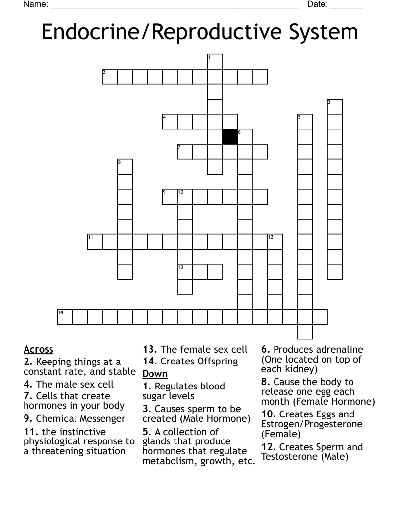 Endocrine/Reproductive System Crossword