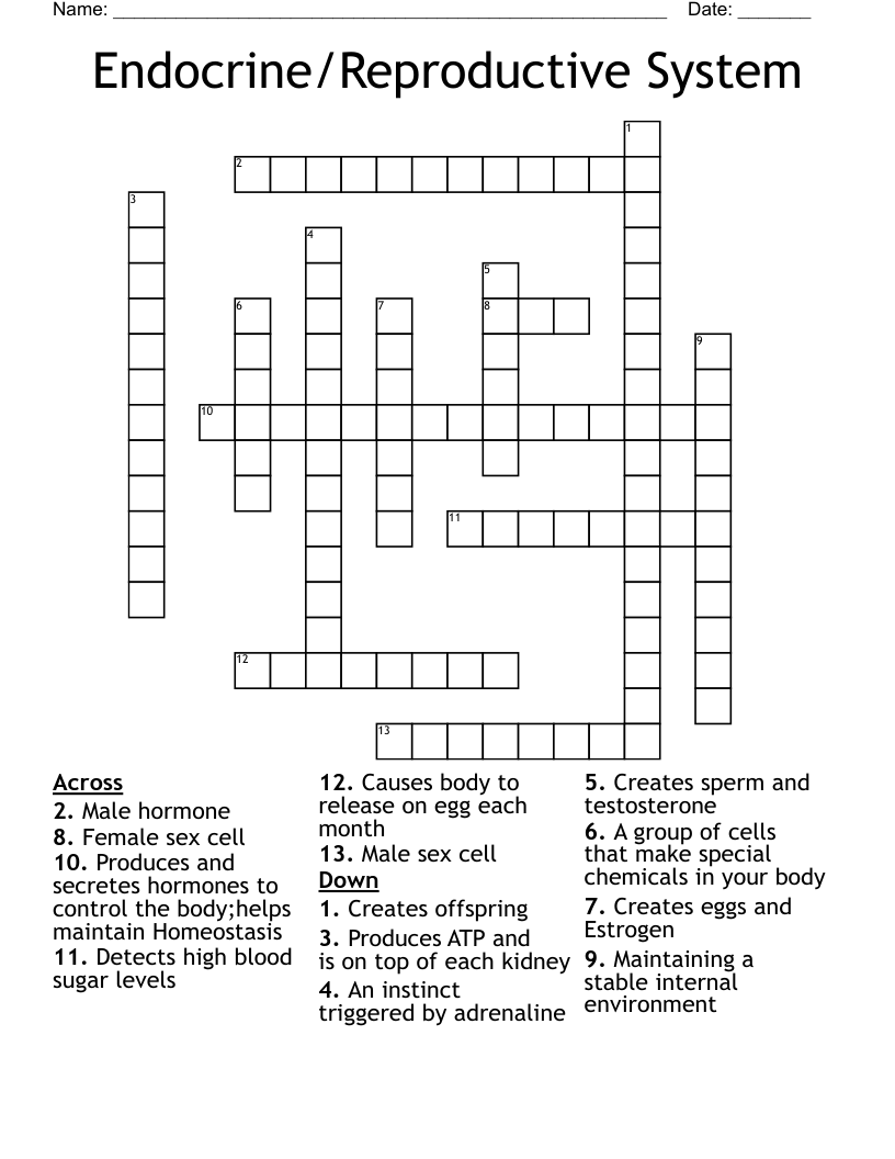 Endocrine/Reproductive System Crossword
