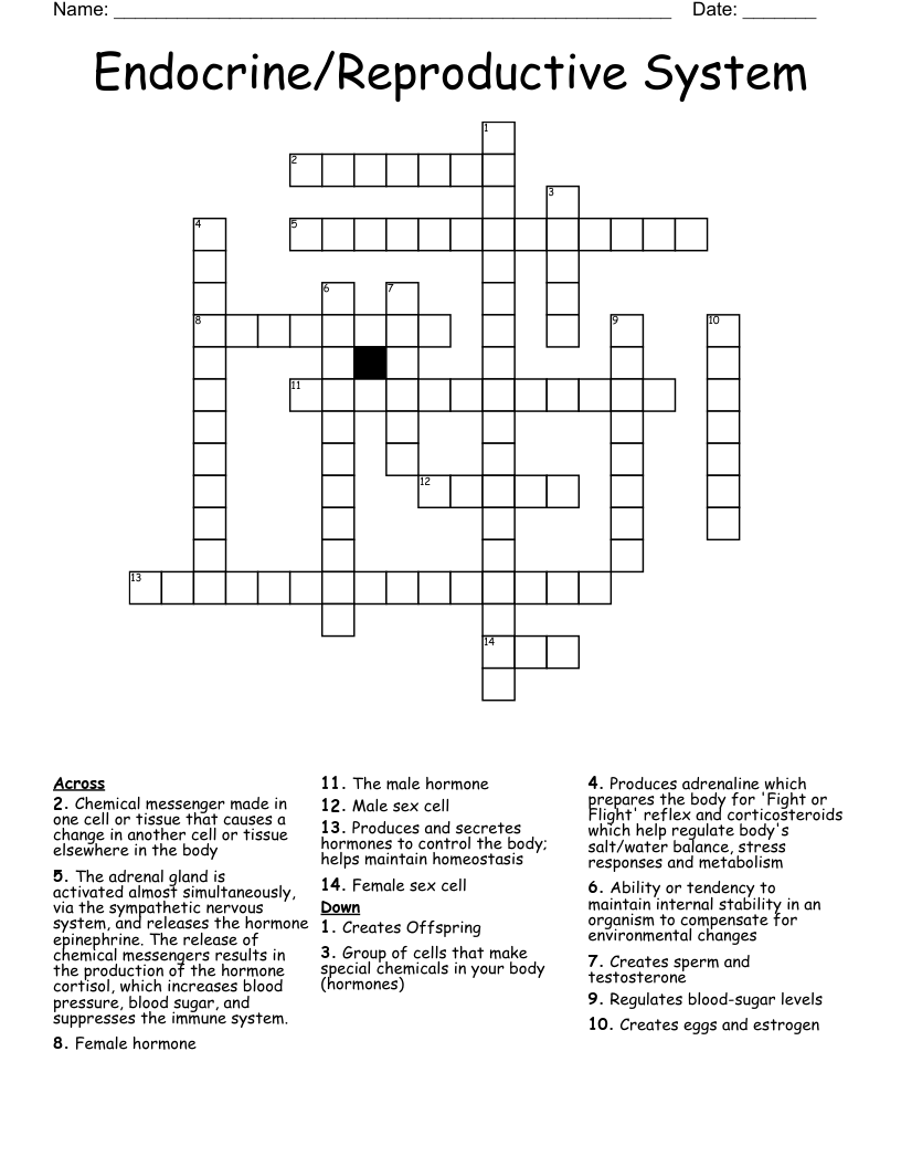 Endocrine/Reproductive System Crossword