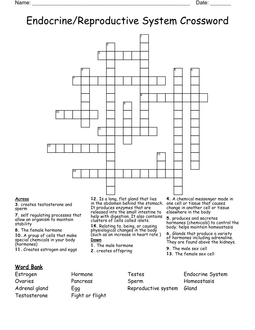 Endocrine/Reproductive System Crossword