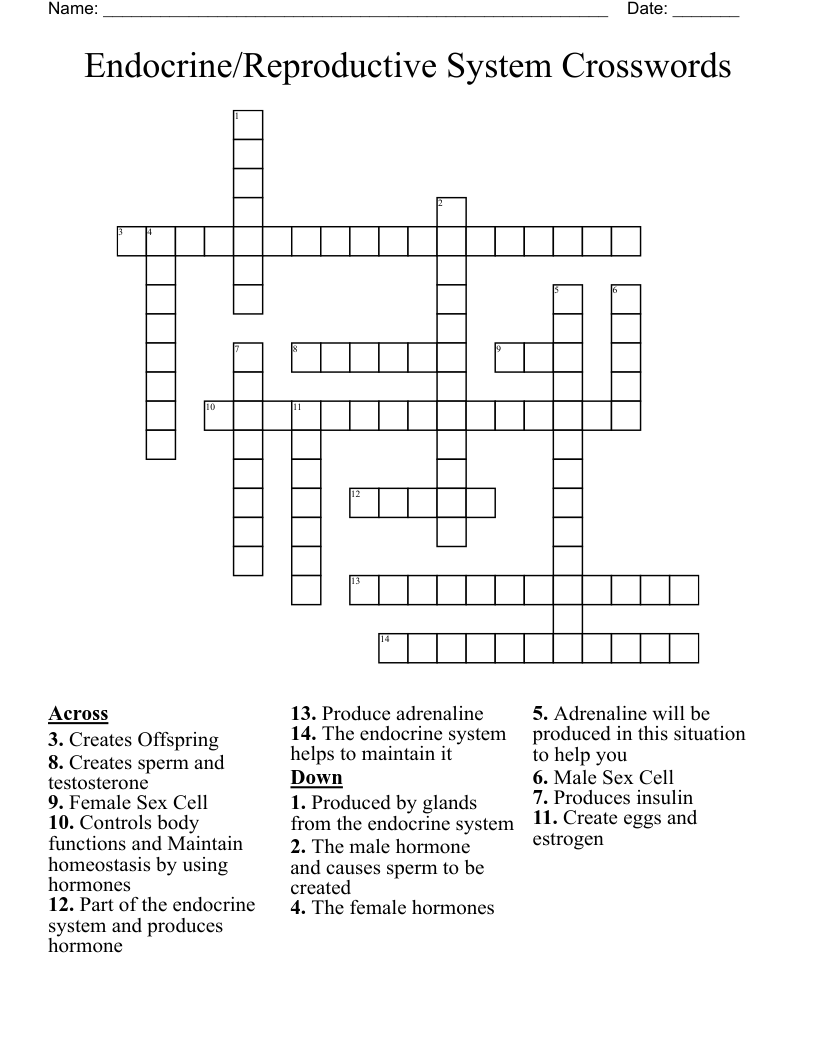 Endocrine/Reproductive System Crosswords