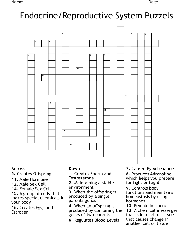 Endocrine/Reproductive System Puzzels Crossword