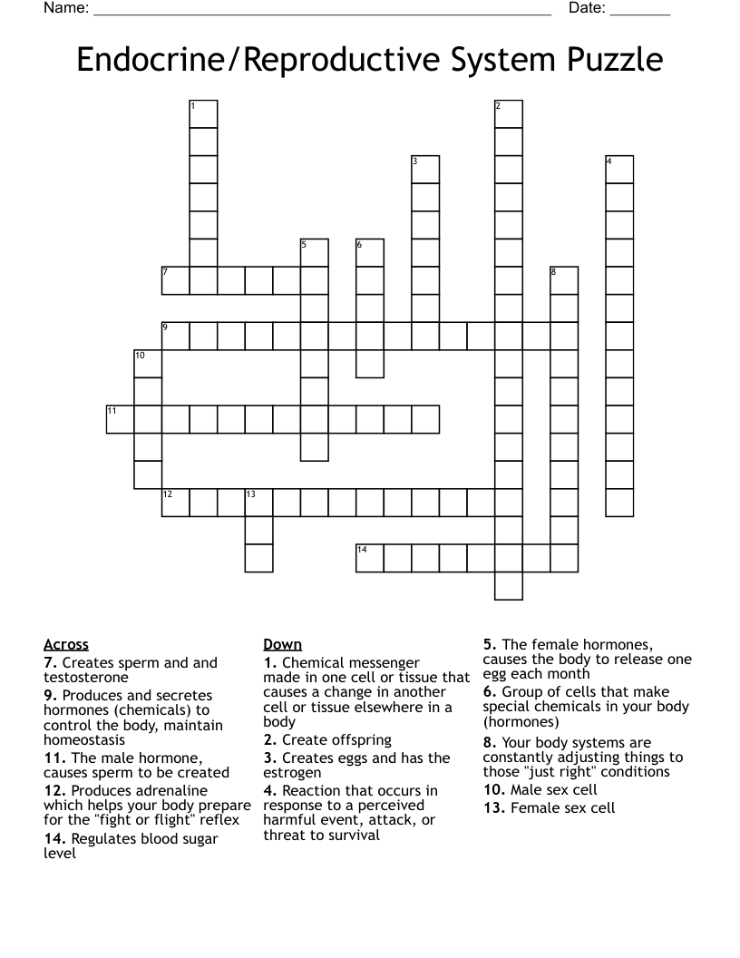 Endocrine/Reproductive System Puzzle Crossword