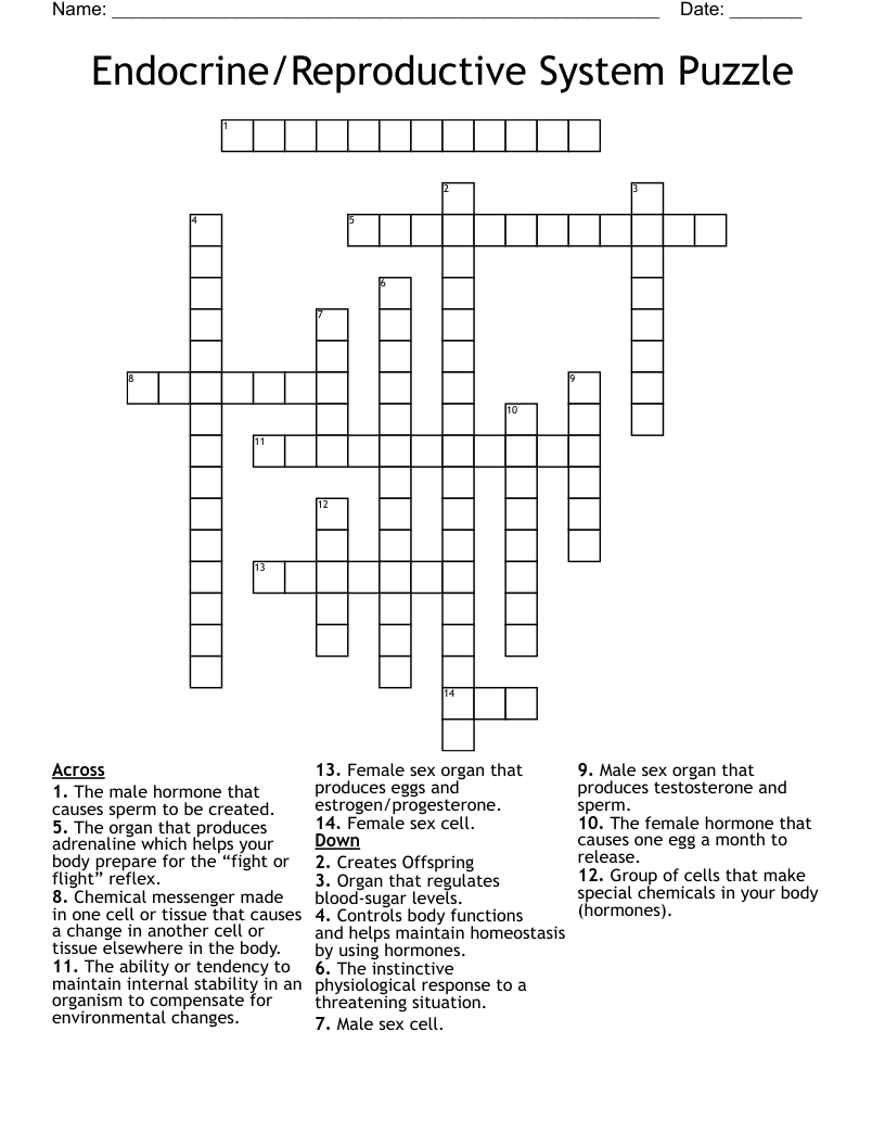 Endocrine/Reproductive System Puzzle Crossword