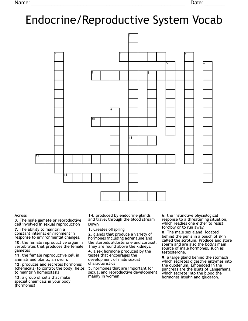 Endocrine/Reproductive System Vocab Crossword