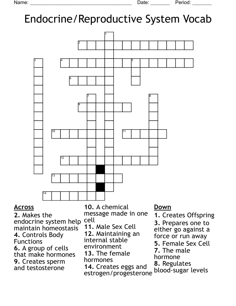 Endocrine/Reproductive System Vocab Crossword