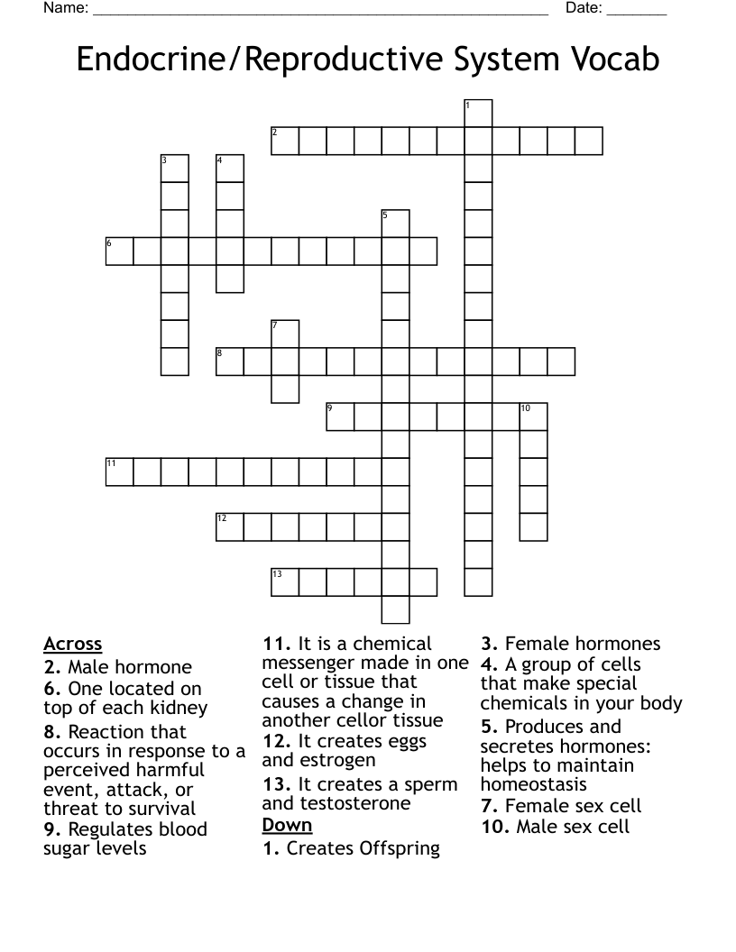 Endocrine/Reproductive System Vocab Crossword