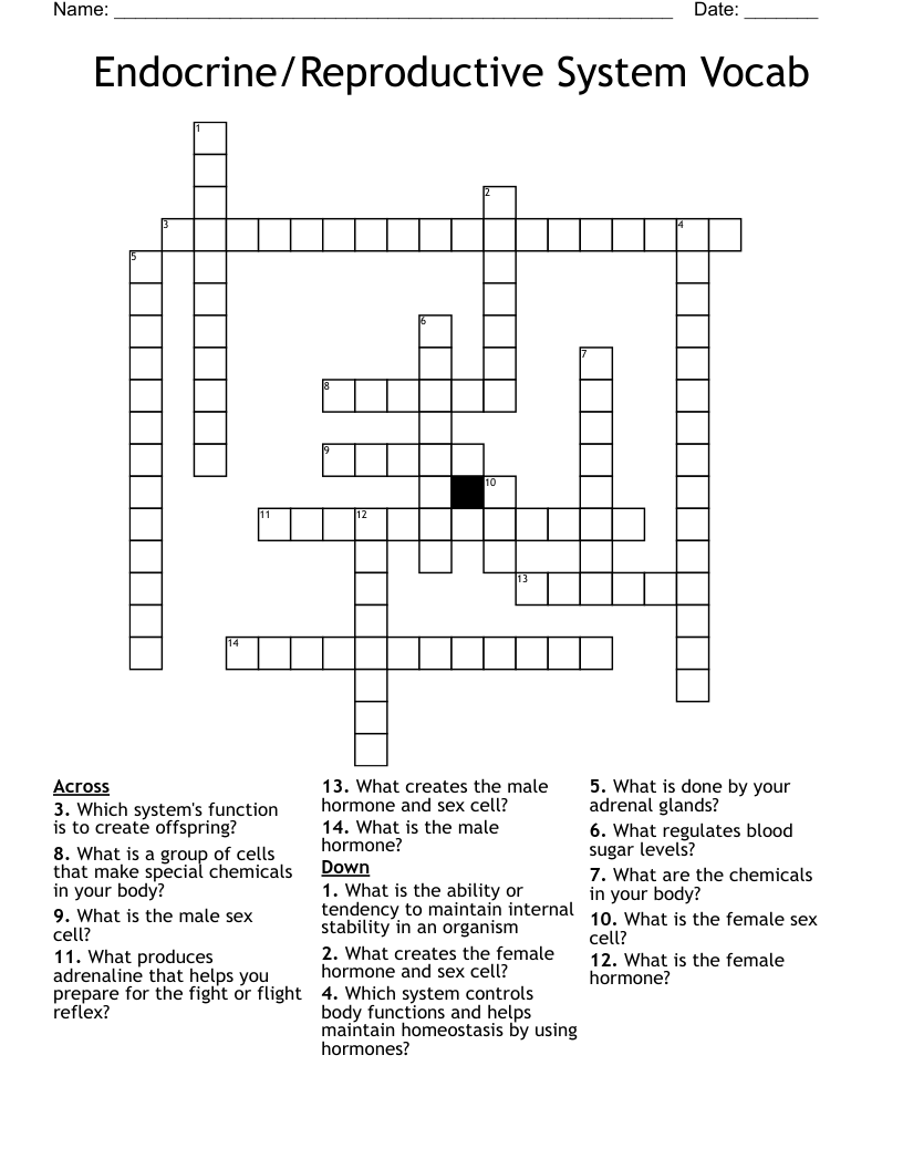 Endocrine/Reproductive System Vocab Crossword