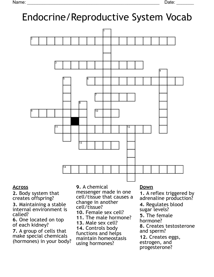 Endocrine/Reproductive System Vocab Crossword