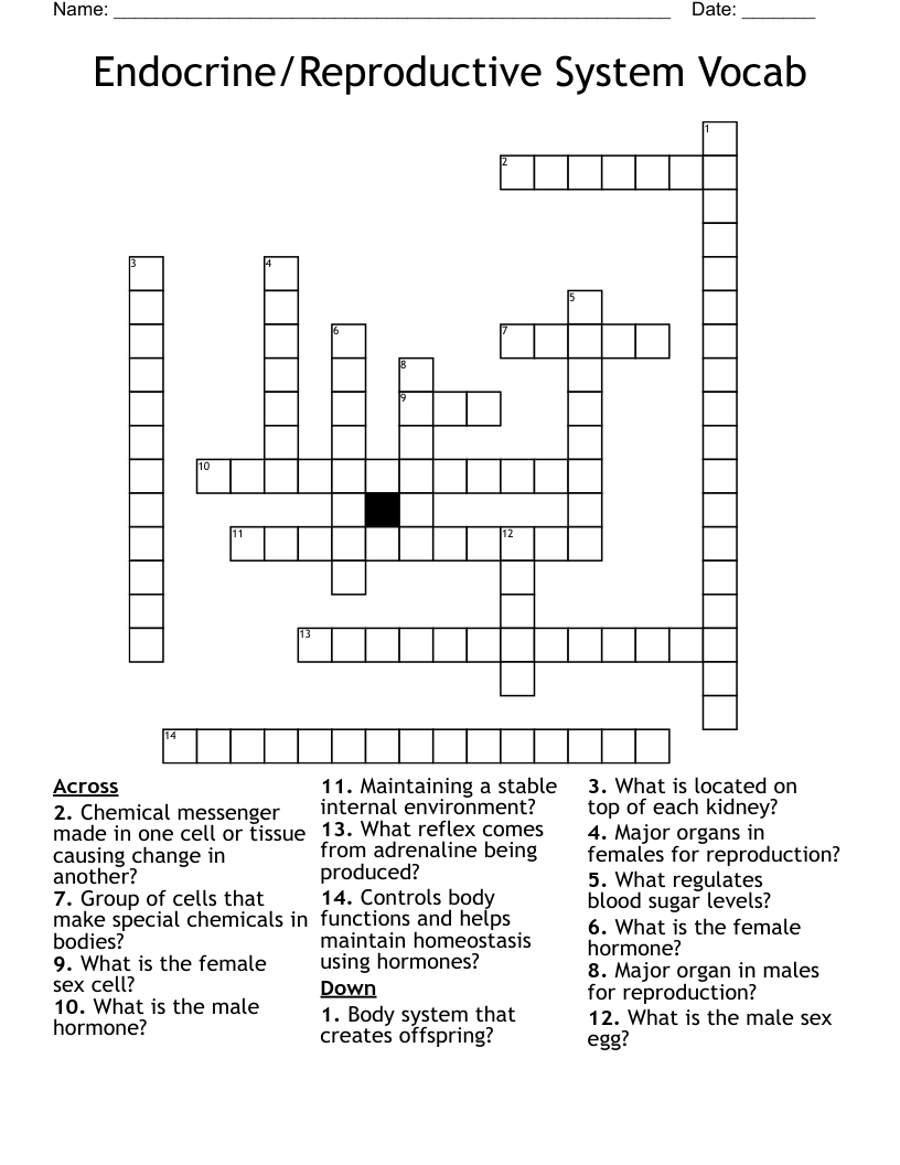 Endocrine/Reproductive System Vocab Crossword