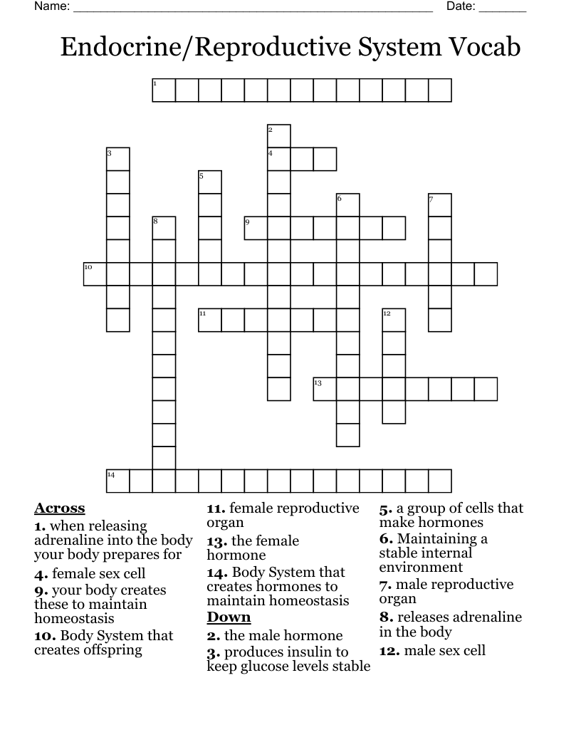 Endocrine/Reproductive System Vocab Crossword