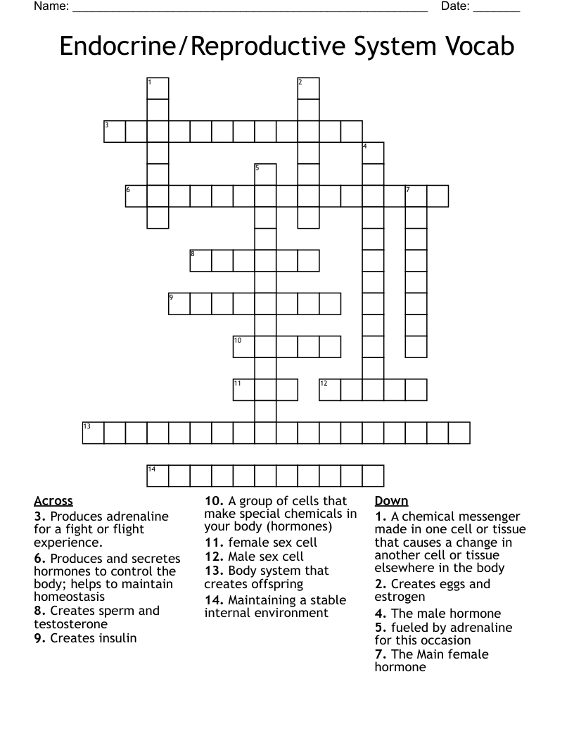 Endocrine/Reproductive System Vocab Crossword
