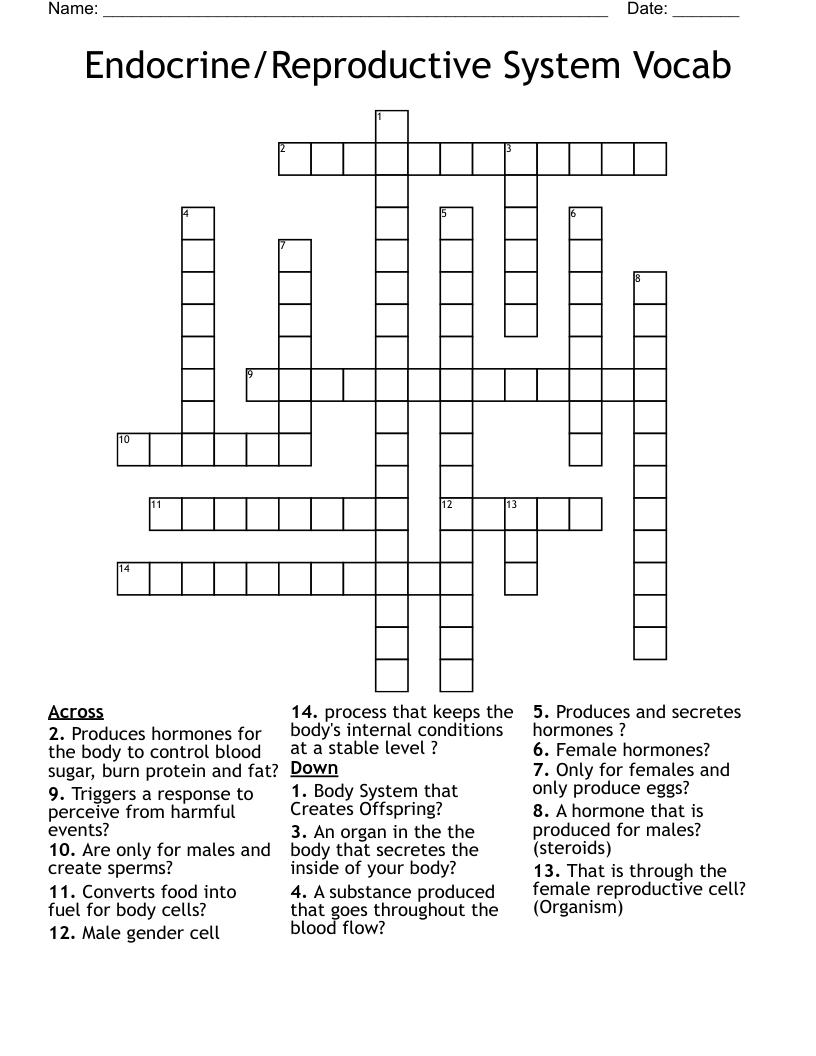 Endocrine/Reproductive System Vocab Crossword