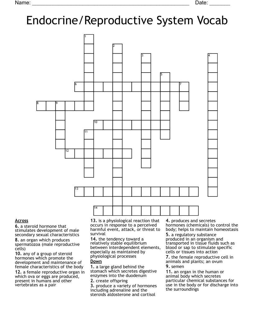 Endocrine/Reproductive System Vocab Crossword