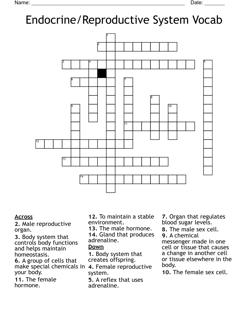 Endocrine/Reproductive System Vocab Crossword