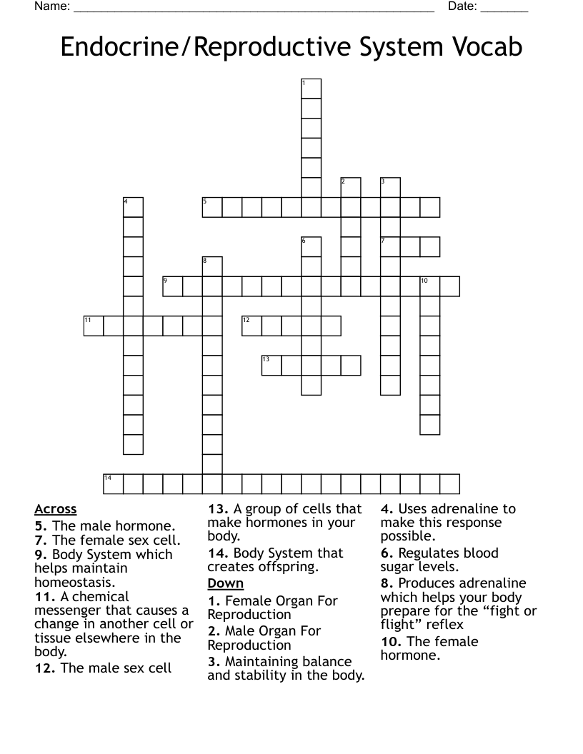 Endocrine/Reproductive System Vocab Crossword