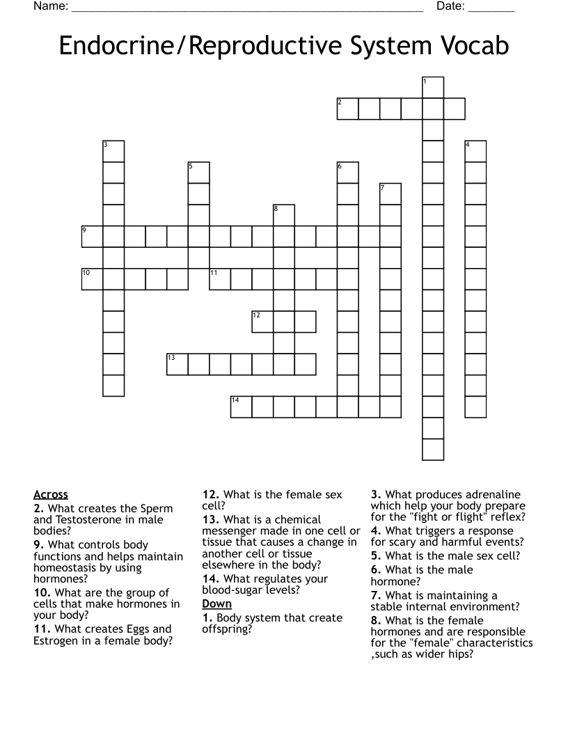 Endocrine/Reproductive System Vocab Crossword
