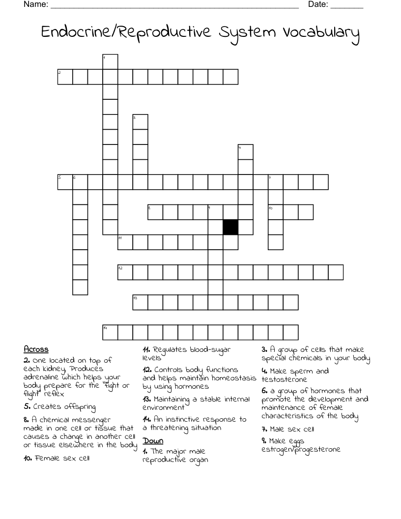 Endocrine/Reproductive System Vocabulary Crossword
