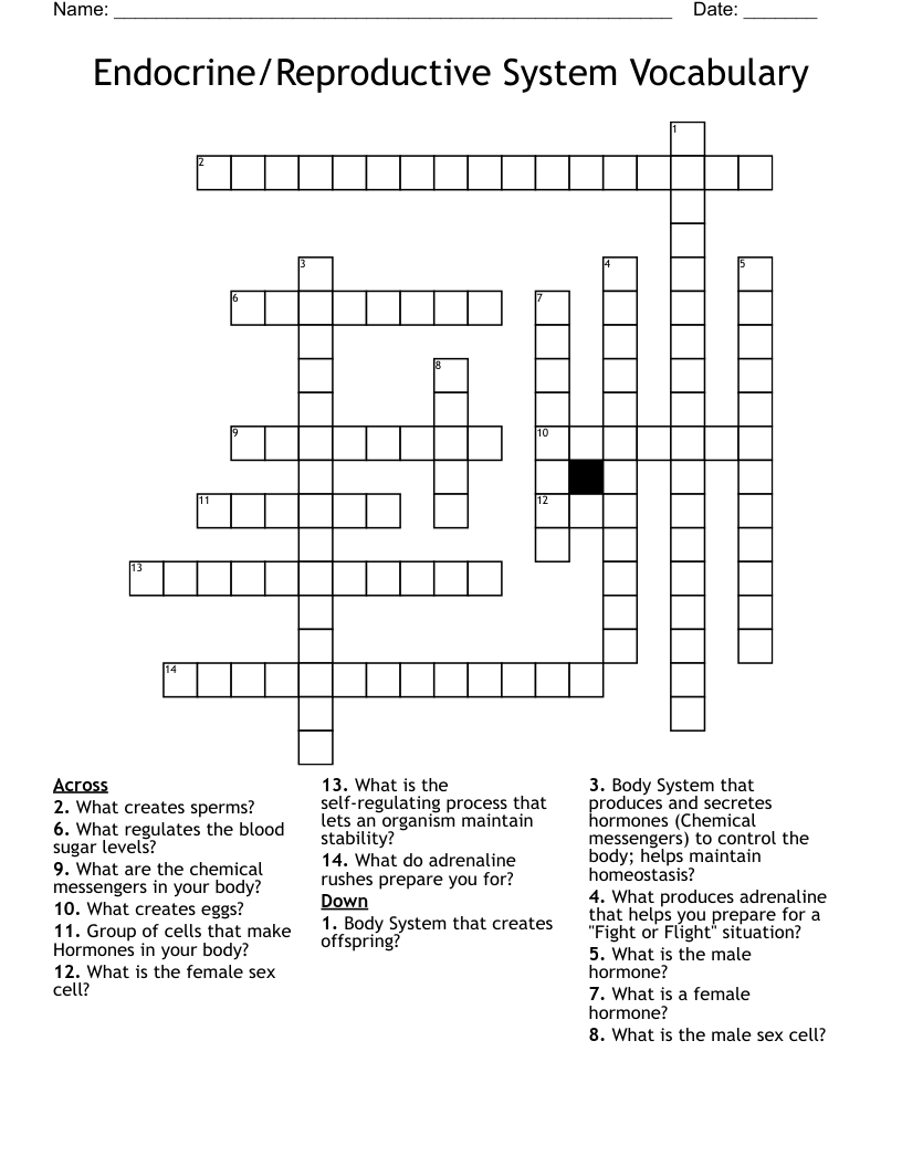 Endocrine/Reproductive System Vocabulary Crossword