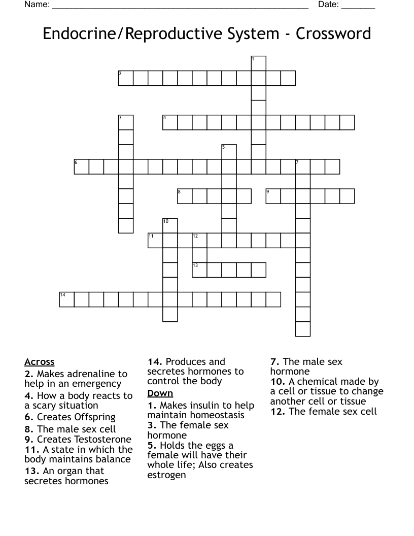 Endocrine/Reproductive System - Crossword