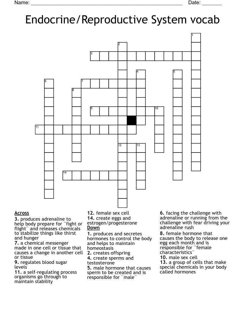 Endocrine/Reproductive System vocab Crossword
