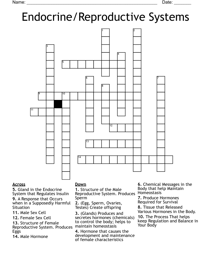 Endocrine/Reproductive Systems Crossword