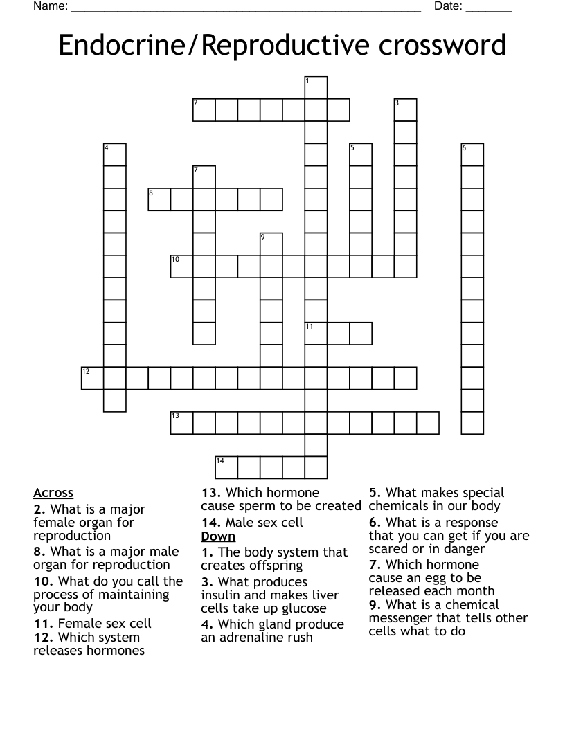 Endocrine/Reproductive crossword