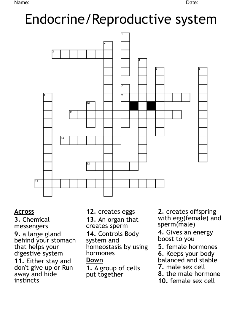 Endocrine/Reproductive system Crossword