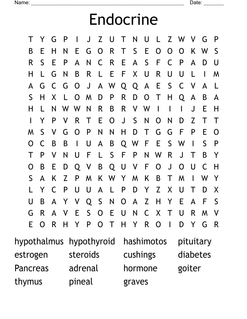 Endocrine Word Search