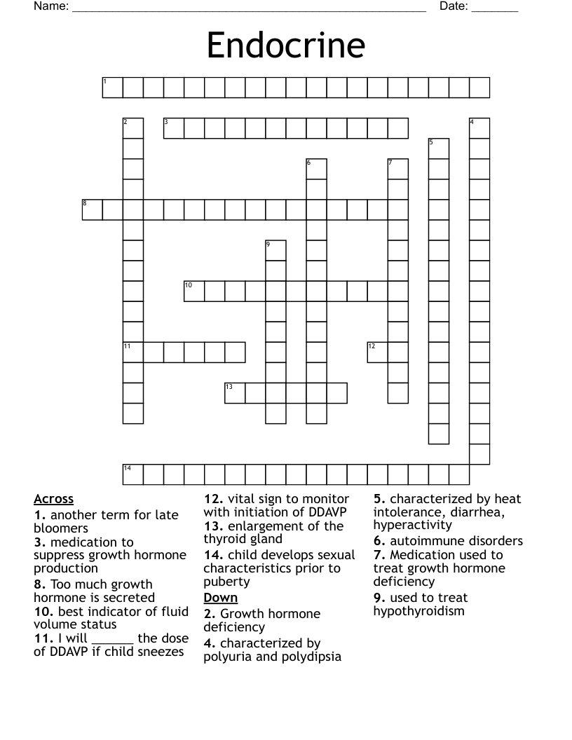 Endocrine Crossword