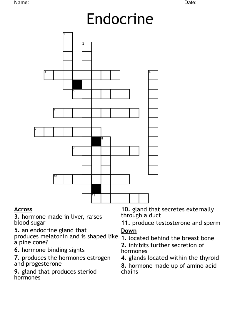 Endocrine Crossword