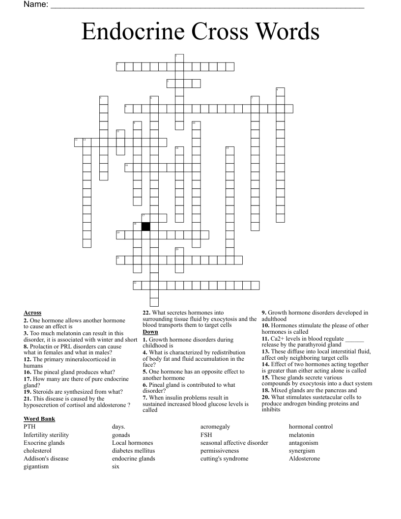 Endocrine Cross Words 