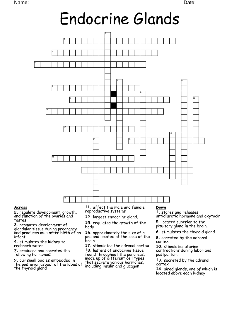 Endocrine Glands Crossword