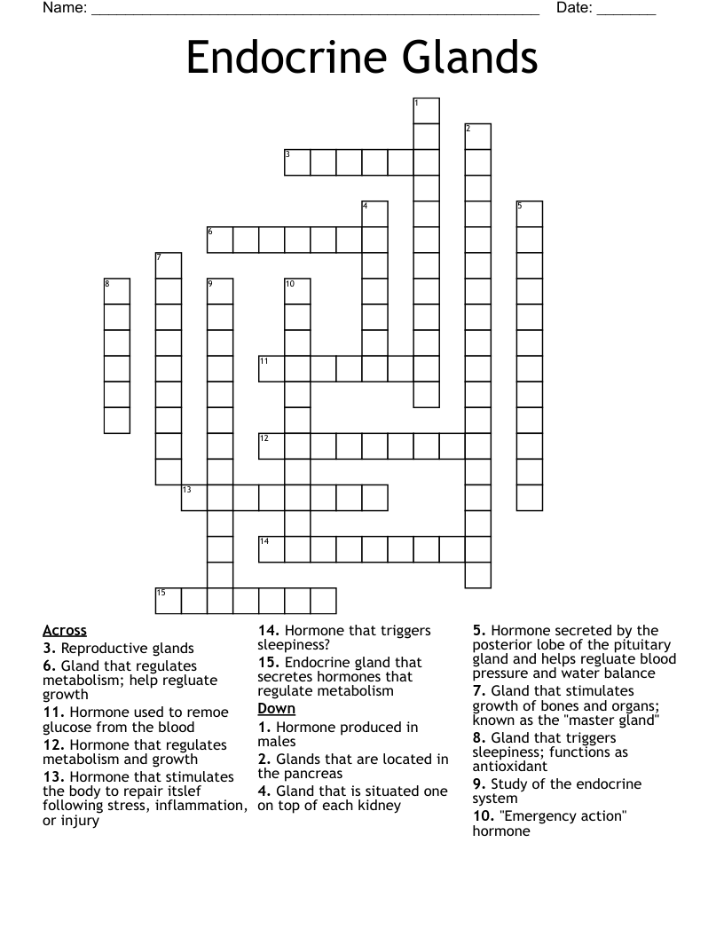 Endocrine Glands Crossword