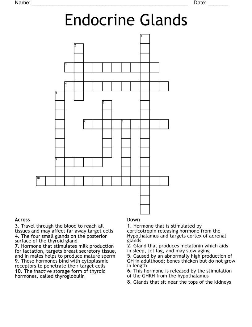 Endocrine Glands Crossword