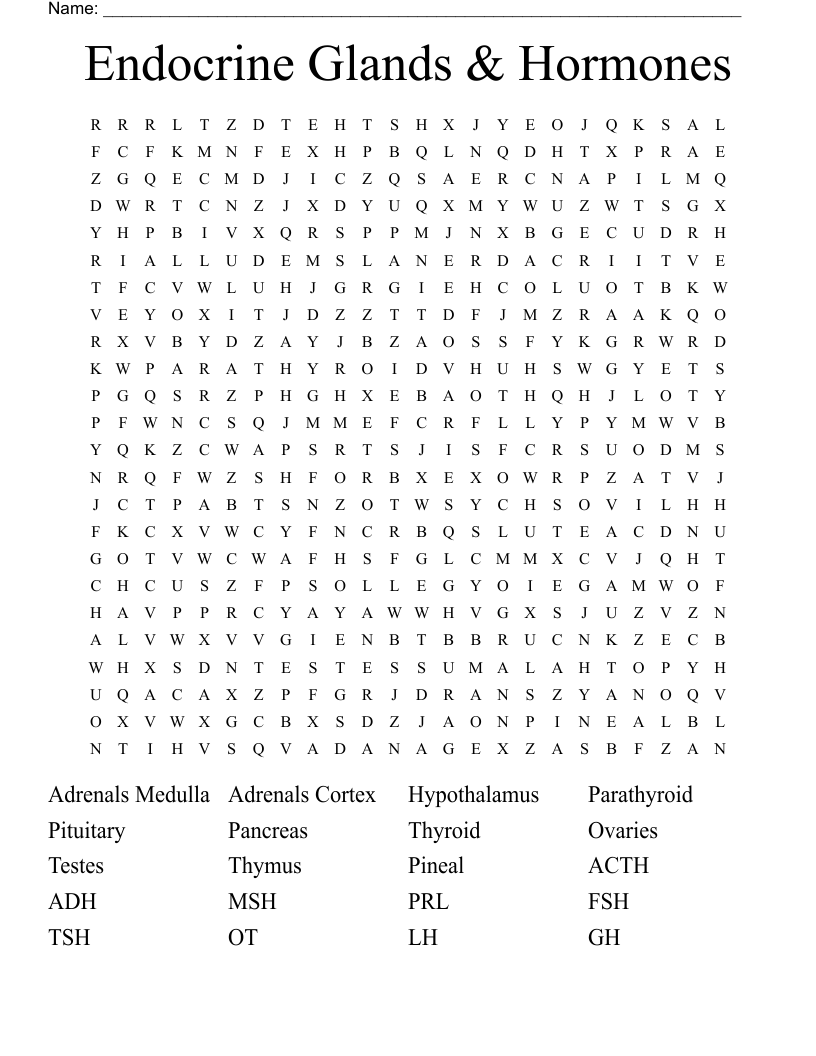 Endocrine Glands & Hormones Word Search