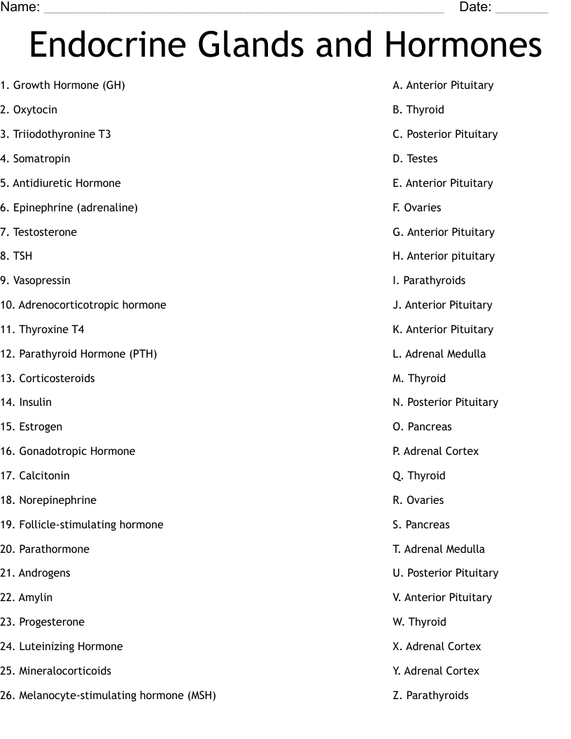 Endocrine Glands and Hormones Worksheet