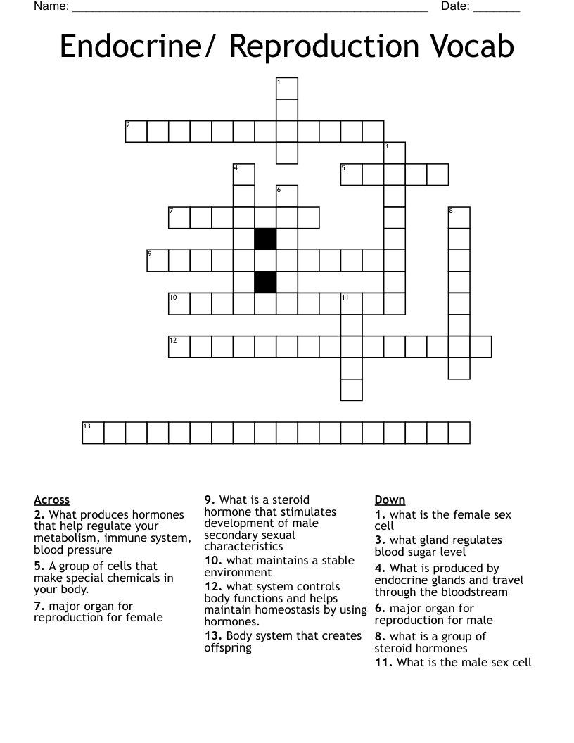 Endocrine/ Reproduction Vocab Crossword