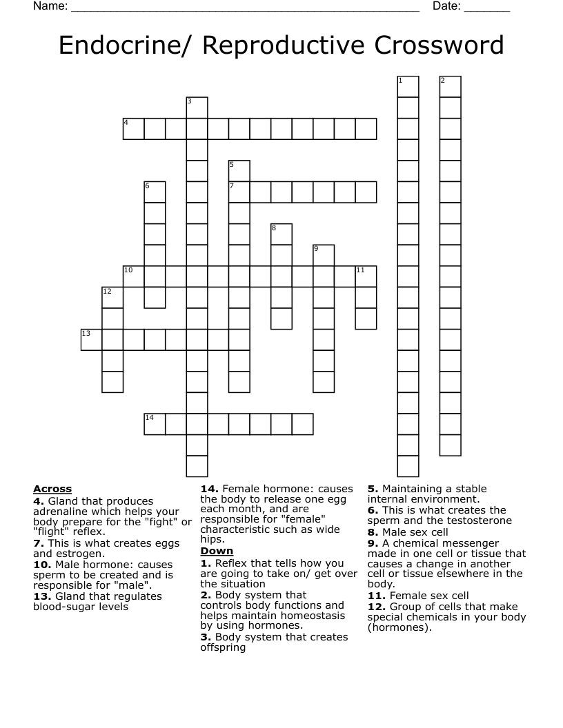 Endocrine/ Reproductive Crossword