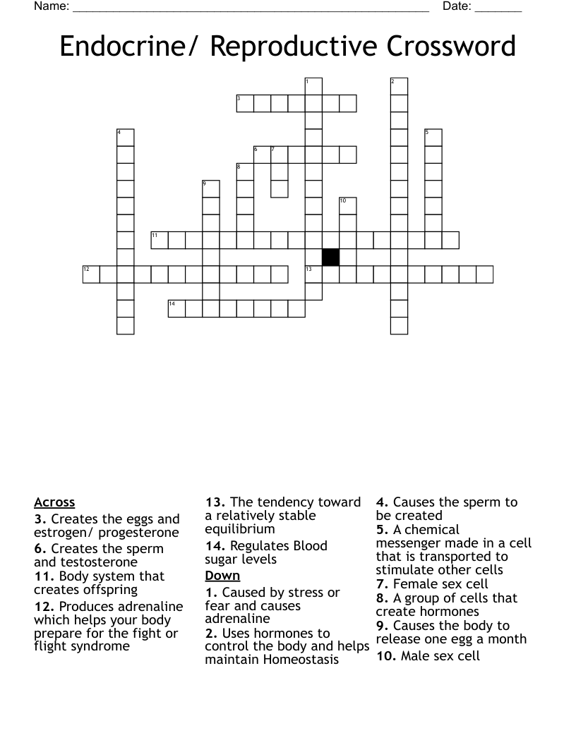 Endocrine/ Reproductive Crossword
