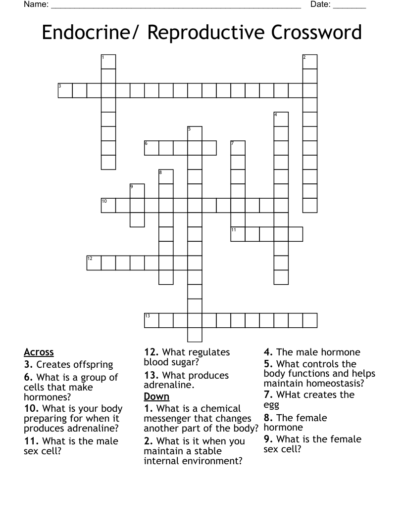 Endocrine/ Reproductive Crossword