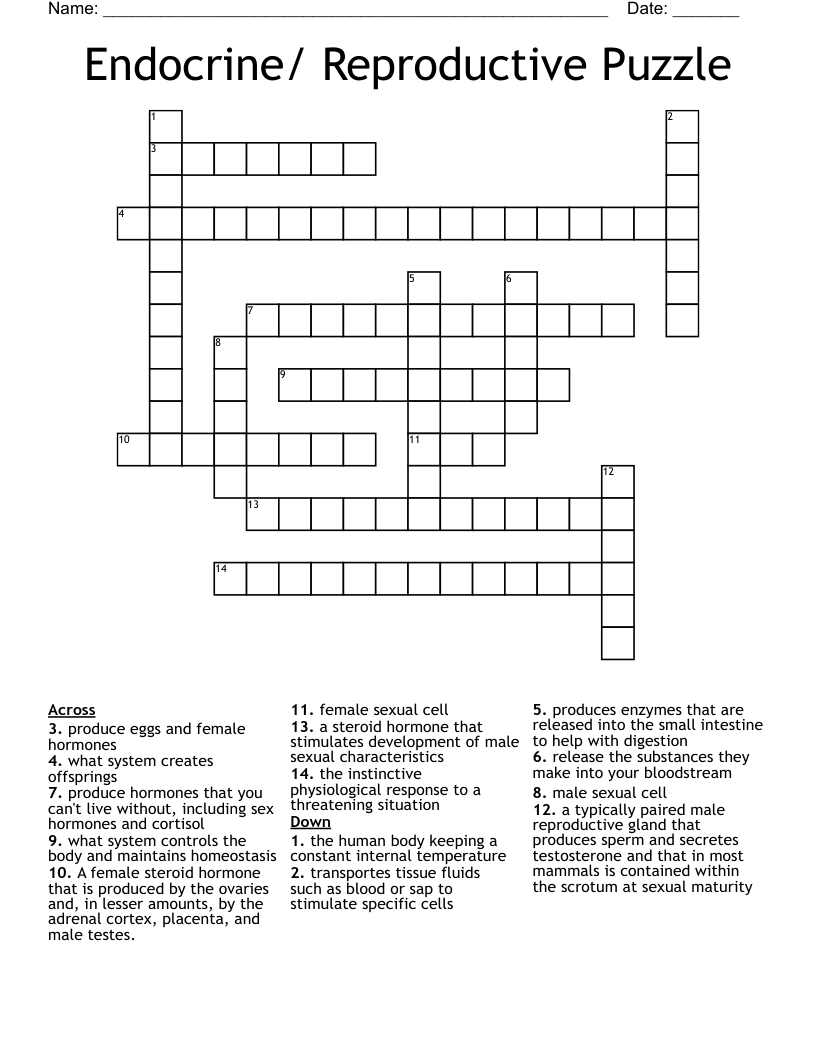 Endocrine/ Reproductive Puzzle Crossword