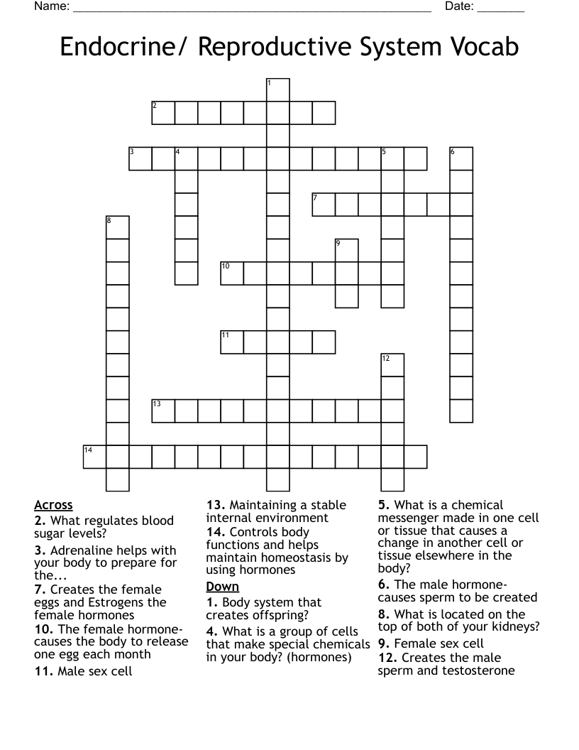 Endocrine/ Reproductive System Vocab Crossword