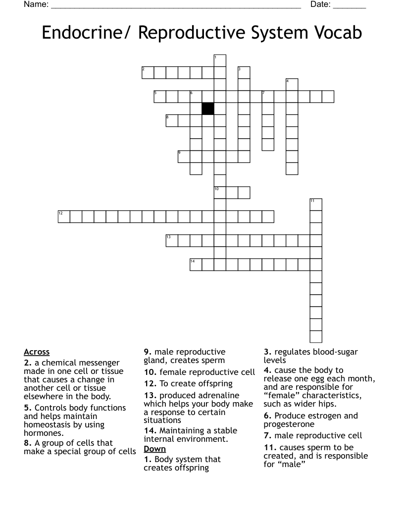 Endocrine/ Reproductive System Vocab Crossword