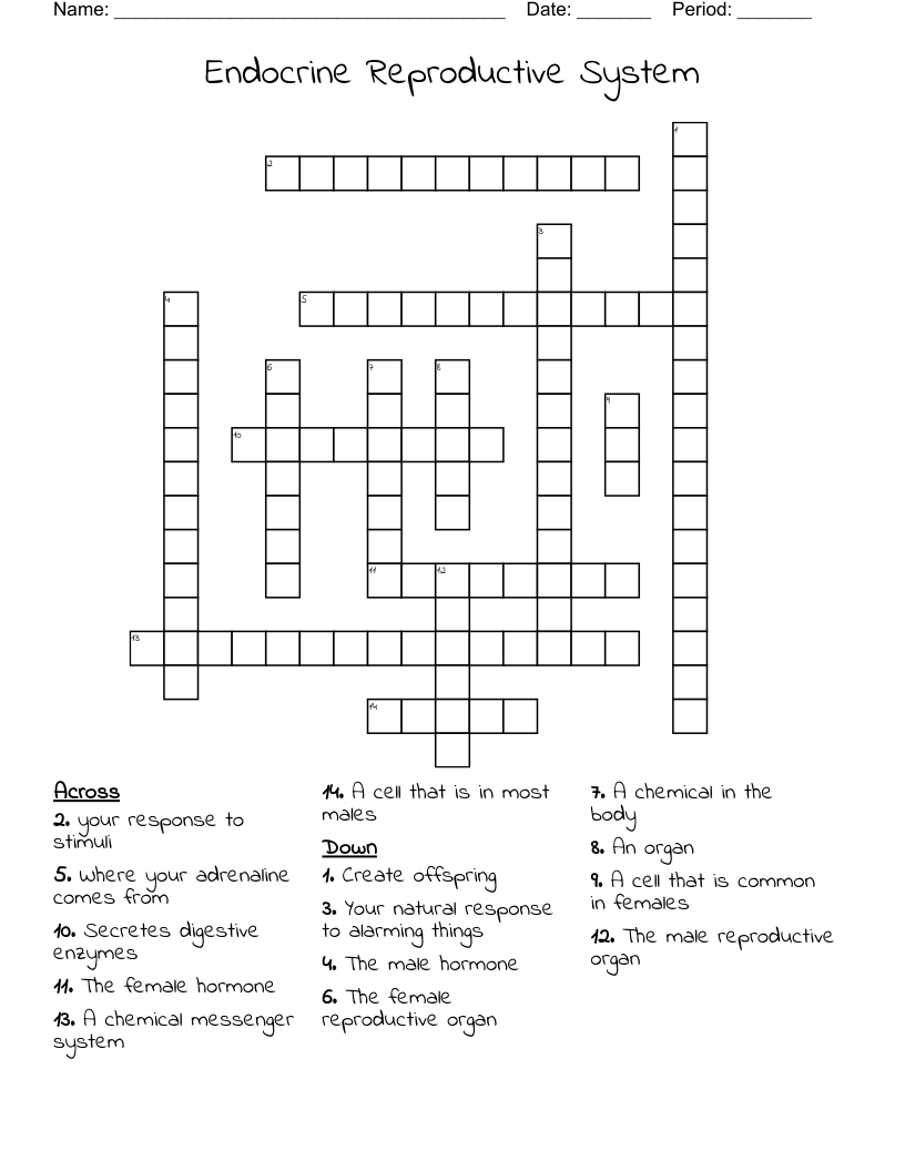 Endocrine Reproductive System                 Crossword
