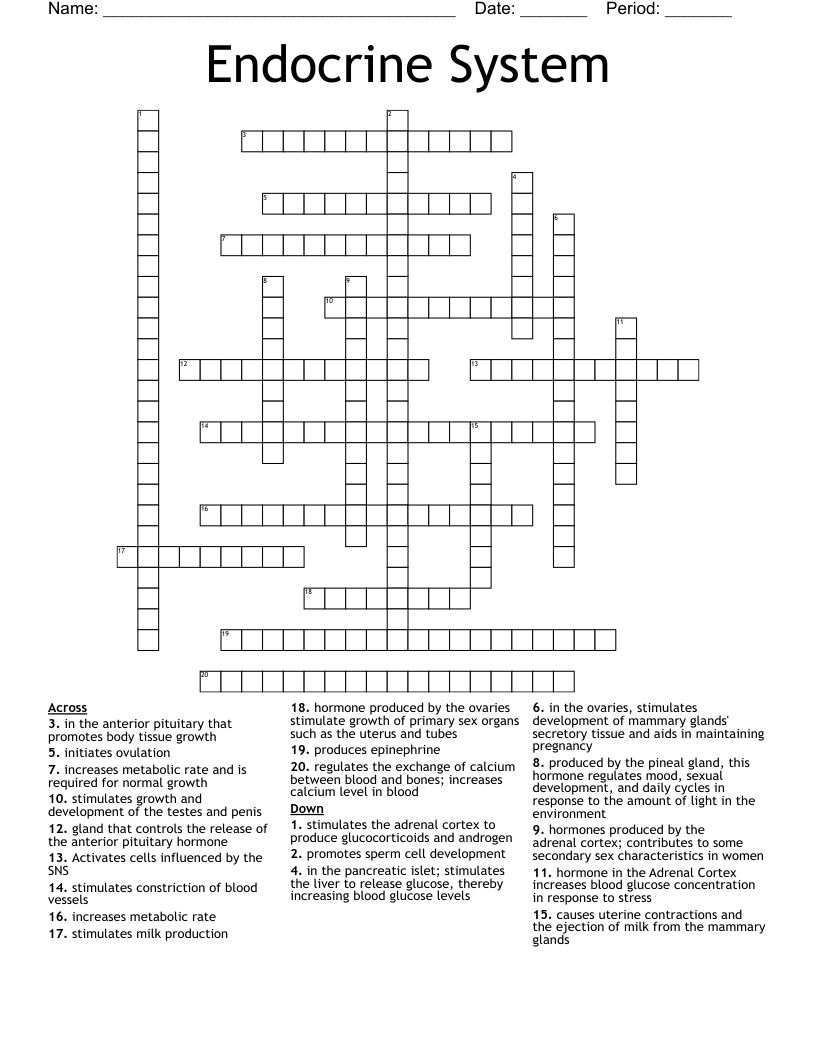 Endocrine System Crossword