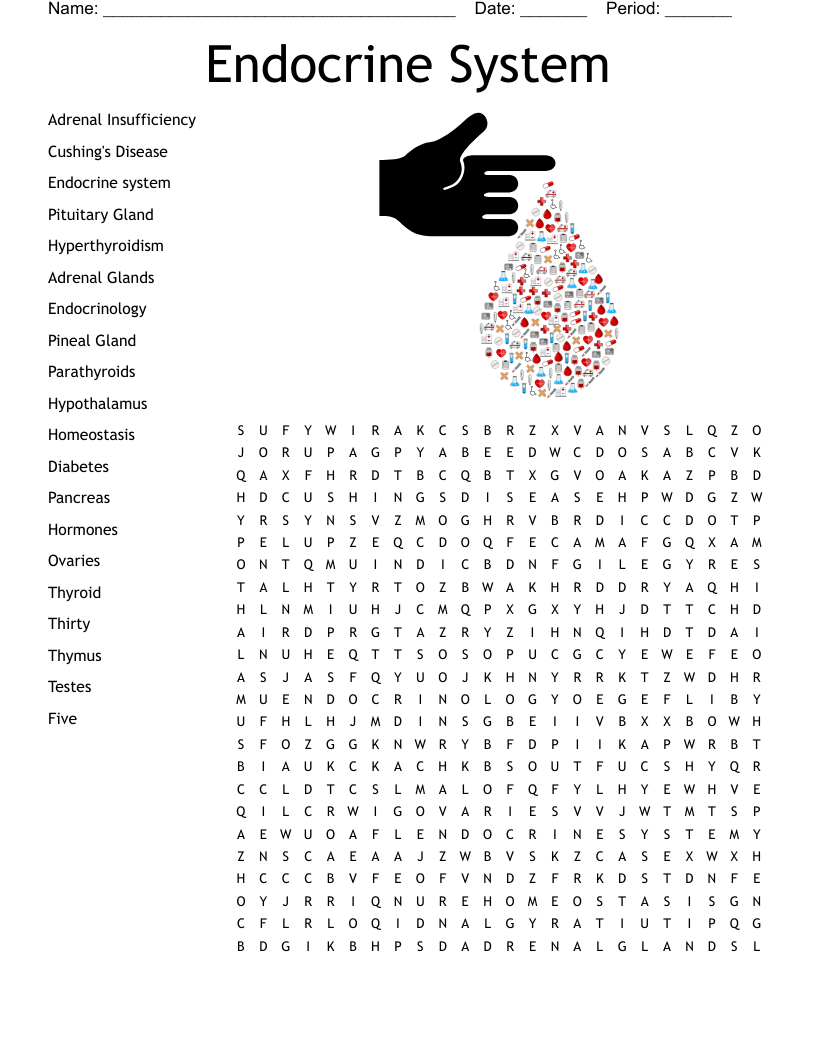Endocrine System Word Search