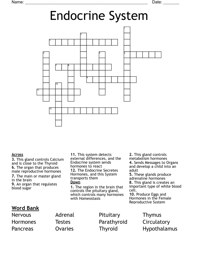 Endocrine System Crossword