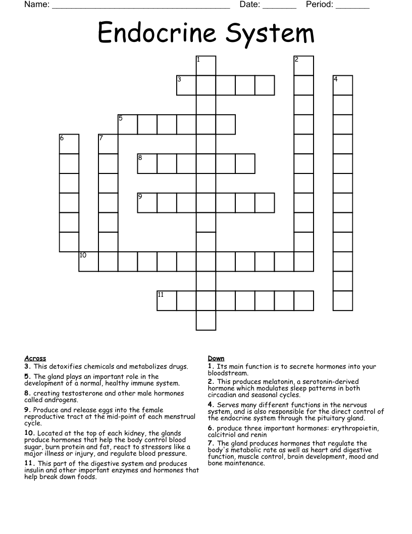 Endocrine System Crossword