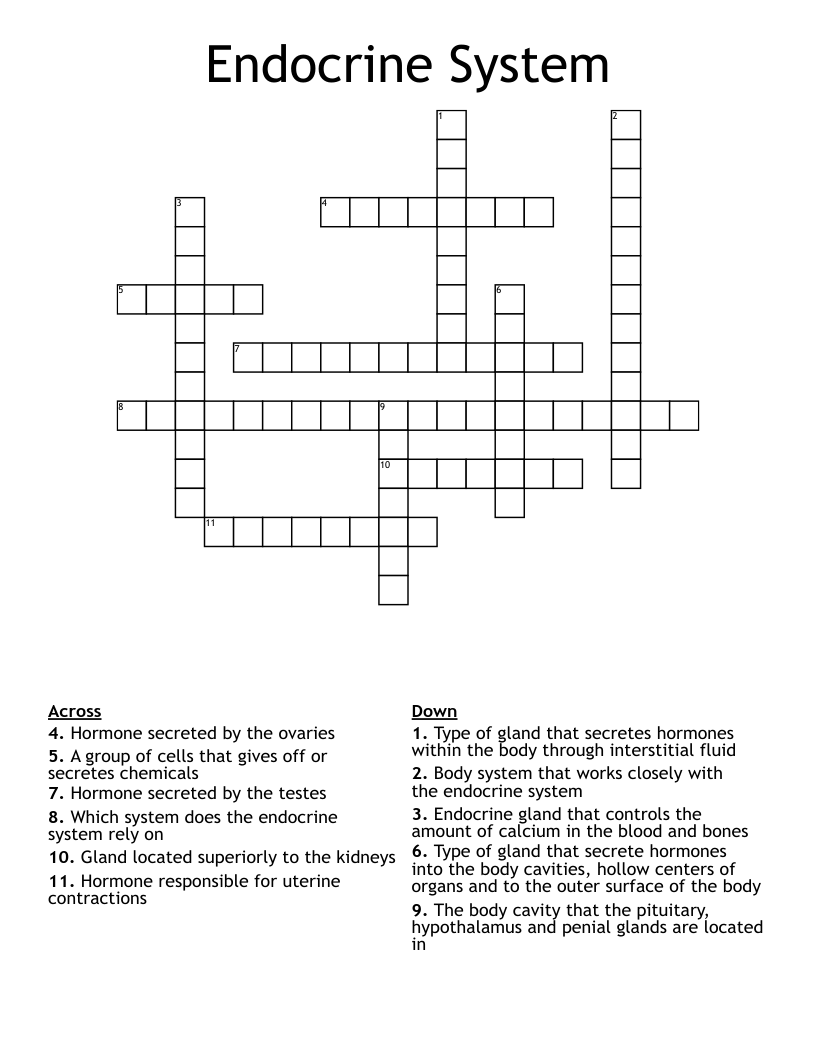 Endocrine System Crossword